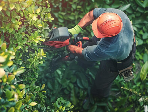 হেজ trimmers জন্য নোট